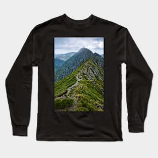 Mountaineous summer landscape Long Sleeve T-Shirt